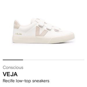 Size 7 VEJA Recife Low Top Sneakers in Blush
